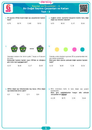 Bir Doğal Sayının Çarpanları ve Katları Test- 3
