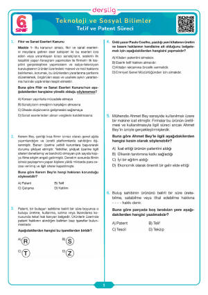 Telif ve Patent Süreci Testi