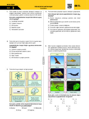 Test-3 Fizik Bilimi