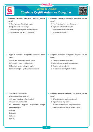 Cümlede Çeşitli Anlam ve Duygular