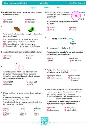 Test 9 - Hücre ve Organelleri