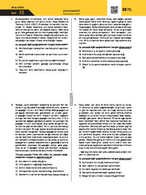 Test-52 Dilin Zenginliği Tema Tekrar Testi