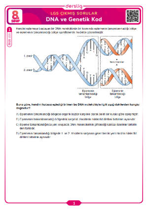 DNA ve Genetik Kod LGS Çıkmış Sorular