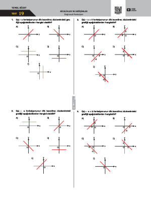 Doğrusal Fonksiyonlar Test -19