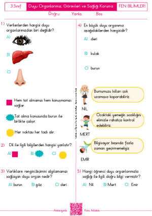 Duyu Organlarımızın Görevleri