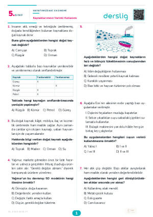 Kaynaklarımızın Verimli Kullanımı Yaprak Testi (Maarif Model)