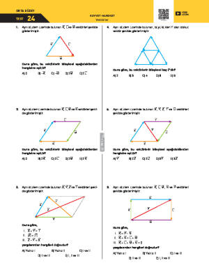Test-24 Vektörler