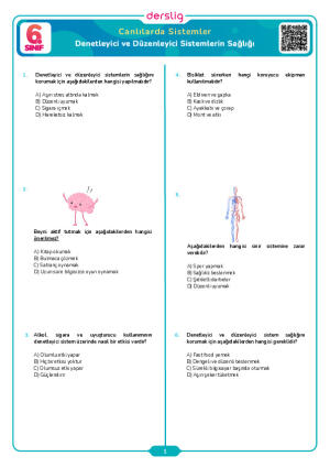 Denetleyici ve Düzenleyici Sistemlerin Sağlığı