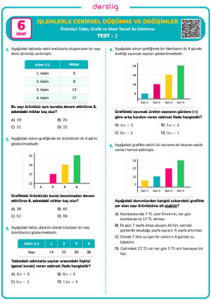 Örüntüyü Tablo, Grafik ve Sözel Temsil ile Gösterme Test- 2