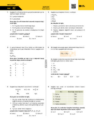 Test-42 Çeşitlilik Tema Tekrar Testi