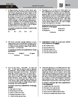 Test-37 Gezi Yazısı