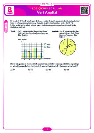 Veri Analizi LGS Çıkmış Sorular