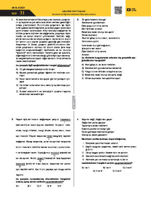 Test-31 Sözcükte Anlam