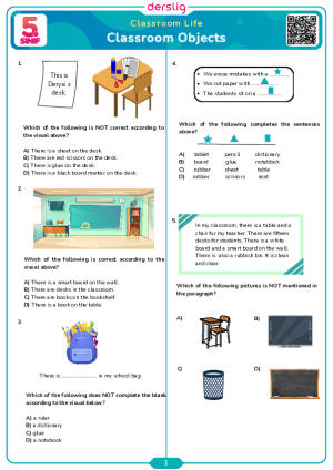 Classroom Objects Test