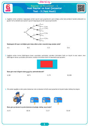 Asal Sayılar ve Asal Çarpanlar Test- 3 (Yeni Nesil)