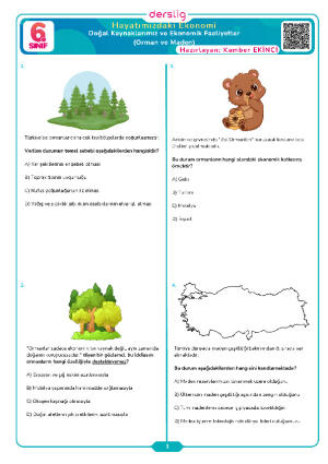 Ülkemizin Kaynakları ve Ekonomik Faaliyetler  (Orman ve Maden Kaynaklarımız)