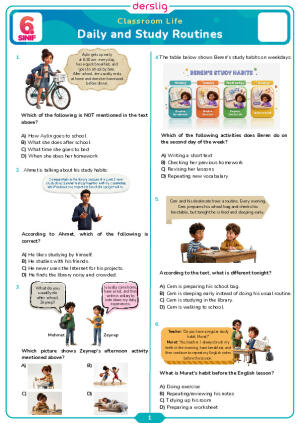 Daily and Study Routines Quiz Test