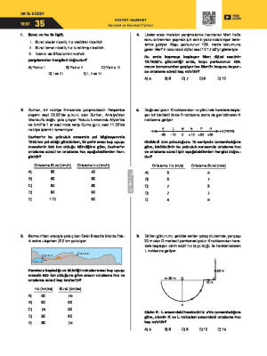 Test-35 Hareket ve Hareket Türleri