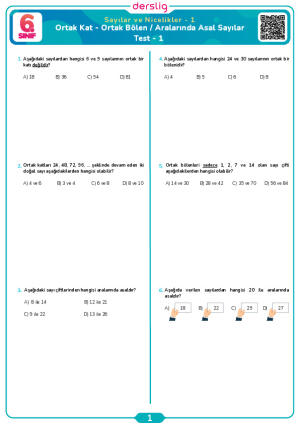 Ortak Kat - Ortak Bölen / Aralarında Asal Sayılar Test- 1
