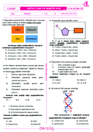 DNA ve Genetik Kod Test-1
