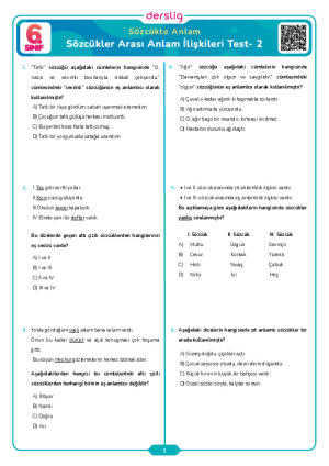 Sözcükler Arası Anlam İlişkileri Test- 2
