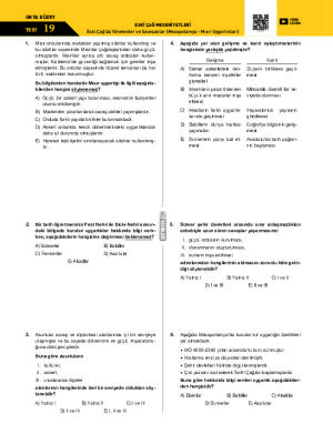 Test-19 Eski Çağ’da Yönetenler ve Savaşanlar (Mezopotamya - Mısır Uygarlıkları)