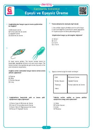 Eşeyli ve Eşeysiz Üreme