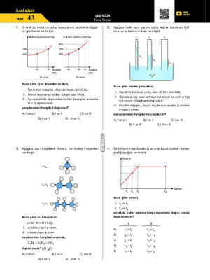 Test-43 Çeşitlilik Tema Tekrar Testi