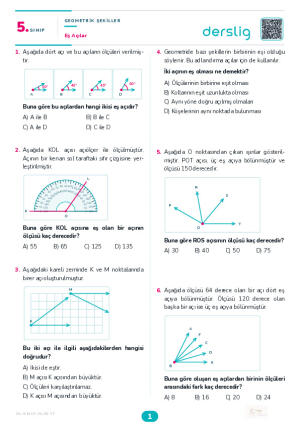 Eş Açılar Yaprak Testi (Maarif Model)