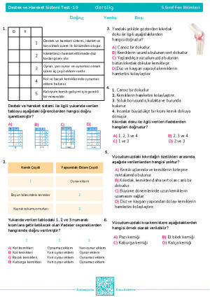 Test 10 - Destek ve Hareket Sistemi