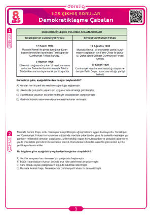 Demokratikleşme Çabaları LGS Çıkmış Sorular