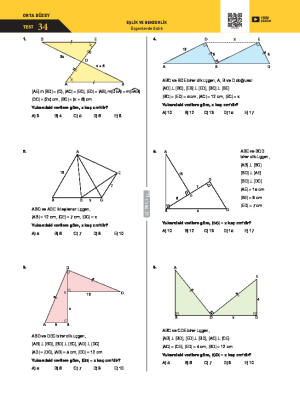 Üçgende Eşlik Test 34