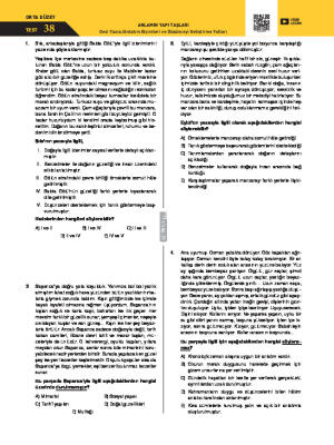 Test-38 Gezi Yazısı