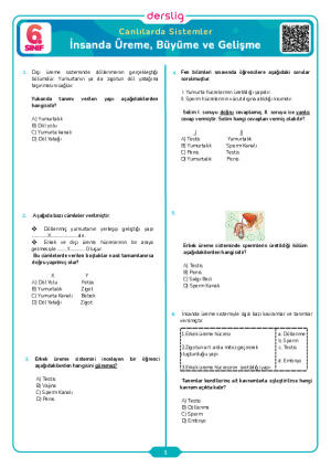 İnsanda Üreme, Büyüme ve Gelişme