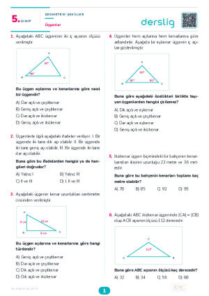 Üçgenler Yaprak Testi (Maarif Model)