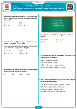 Bilinmeyen Nicelikleri Cebirsel İfade Olarak Temsil Etme