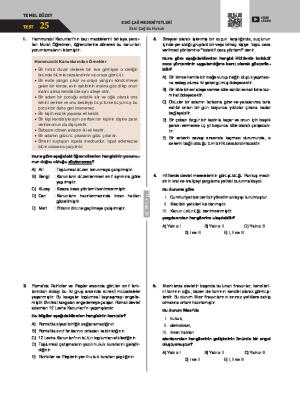 Test-25 Eski Çağ’da Hukuk