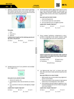 Test-3 Kimya Hayattır