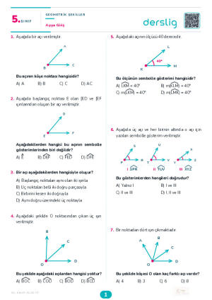 Açıya Giriş Yaprak Testi (Maarif Model)
