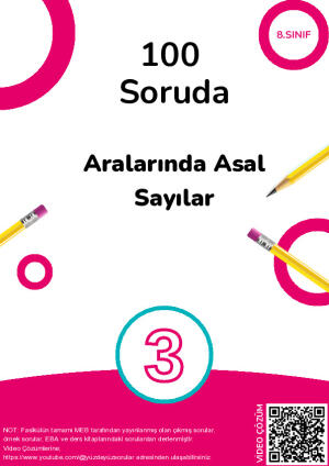 3) 100 Soruda Aralarında Asal Sayılar