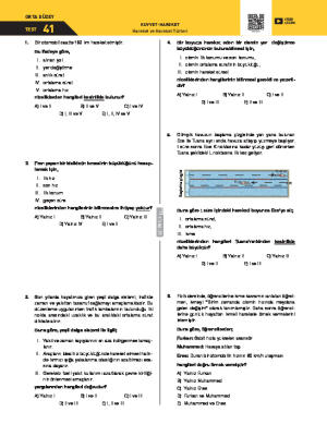 Test-41 Hareket ve Hareket Türleri