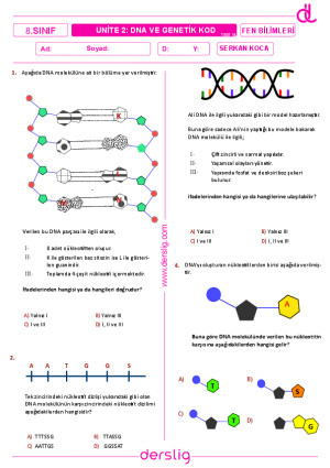 DNA ve Genetik Kod Test-15