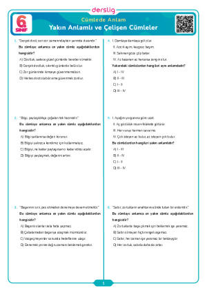 Yakın Anlamlı ve Çelişen Cümleler