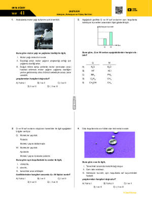 Test-41 Adezyon, Kohezyon ve Yüzey Gerilimi