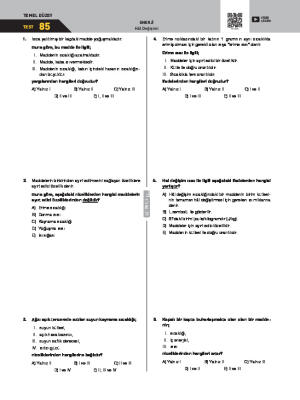 Test-85 Hâl Değişimi