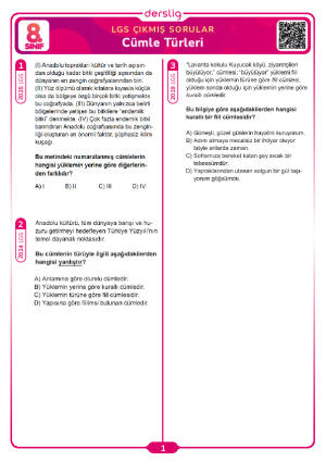 Cümle Türleri LGS Çıkmış Sorular