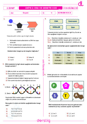 DNA ve Genetik Kod Test-14