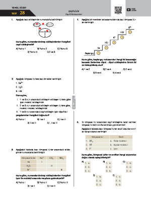 Test-28 Zayıf Etkileşimler