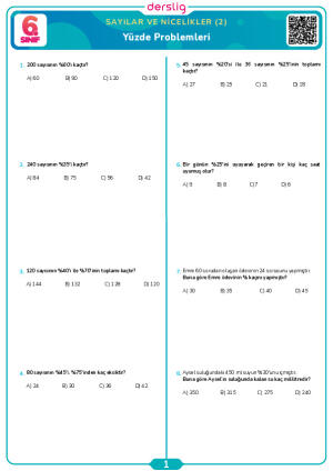 Yüzde Problemleri