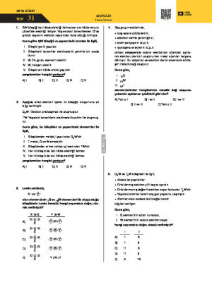 Test-31 Çeşitlilik Tema Tekrar Testi